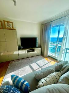 a living room with a couch and a television at Rodamar Apartment Forum Funchal in Funchal