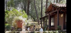 Zahrada ubytování Cabañas Tapalpa Sierra del Tecuan, Cabaña Conejo