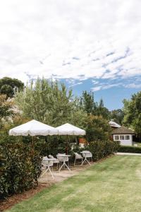 Vườn quanh The Benev - Wellness Accommodation +19 ảnh