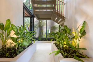 Κήπος έξω από το Ohana Villa - Ocean View and a Walk to the Beach