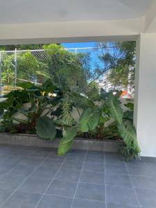 Zahrada ubytování Lovely apartment with a pool