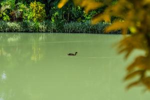 Udsigt til en flod der løber i nærheden af villaen