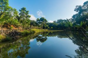 Naturlandskabet i nærheden af villaen + 52 billeder