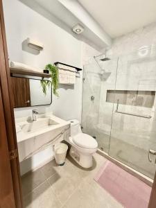 Un baño con inodoro, lavabo y ducha. en Departamento Boca del Rio Costa de Oro,  12 fotos más