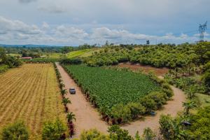 Naturlandskabet i nærheden af villaen