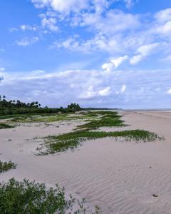 Naturlandskabet i nærheden af den private indkvartering