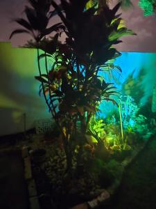 Κήπος έξω από το Charmante maison sérénité