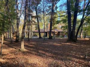 a cabin in the middle of a forest with trees at Quiet Forest Vacation home on a Private Road with Spacious Patios, Fire pit, Pet friendly and a Private pool in Tullahoma