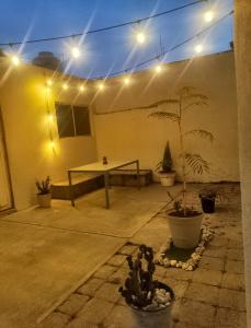 a patio with a table and potted plants and lights at viva la vida in Querétaro