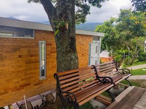 un banco de madera sentado junto a un árbol en Cabaña Colibrí Silvania Cundinamarca, en Silvania