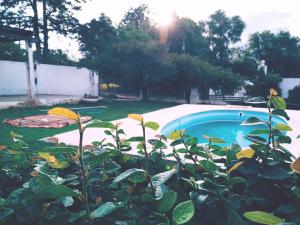 Swimmingpoolen hos eller tæt på Casa colibrí