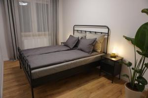 ヴィエリチカにあるVIP Apartments Victoriaの植物のある小さな部屋のベッド +6枚の写真