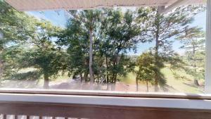 Royal Poste Unit 2605 في صن سيت بيتش: نافذة تطل على مجموعة من الأشجار