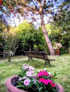 Depto 2 Chelson centro في فيلا جيزيل: مقعد حديقة يجلس بجوار مجموعة من الزهور