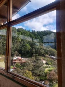 Naturlandskabet i nærheden af lejligheden