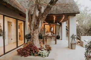 a house with a thatched roof and a tree at Wildlife Estate Villa - Pool - Boma - Bushlife in Hoedspruit