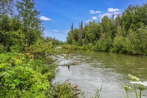 a river with trees on the side of it at Riverfront, Authentic, Luxury Log Cabin-Black Bear in Wasilla +28 photos