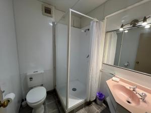 Gallery image of Karaka Tree Motel in Taupo +51 photos