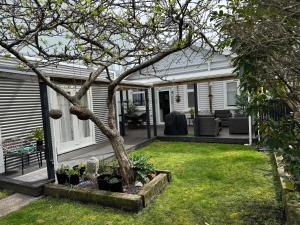 a backyard with a tree in a yard at Unique Beachside Home in Eastbourne in Lower Hutt