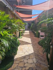 a courtyard with plants and a walkway at Jazmin's Apartment in Oranjestad