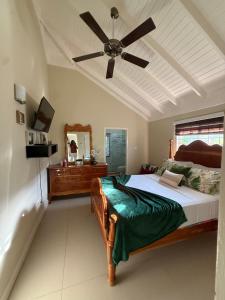 a bedroom with a bed and a ceiling fan at Sweet Oasis in Mammee Bay +73 photos