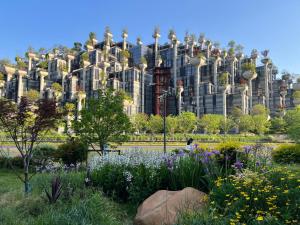 Κήπος έξω από το Shanghai Hongmin Inn