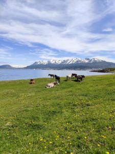 Φυσικό τοπίο κοντά σε αυτό το bed & breakfast