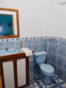 a bathroom with a toilet and a sink and a mirror at Penguin Hostel in Puerto Ayora