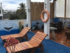 Un patio con dos bancos y un salvavidas naranja. en Penguin Hostel, en Puerto Ayora