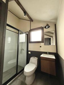 a bathroom with a toilet and a sink and a shower at Fully renovated cabin in Villa Cerro Castillo, Patagonia in Villa Cerro Castillo