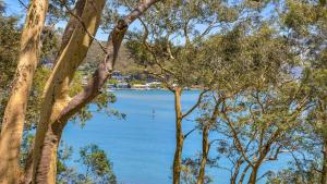 Природа в окрестностях дома для отпуска