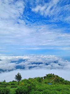 Φυσικό τοπίο κοντά σε αυτό το κατάλυμα σε φάρμα