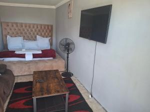 TV/trung tâm giải trí tại White house apartment