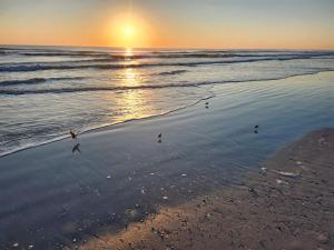 Příroda nedaleko prázdninového domu