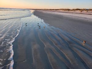 Příroda nedaleko prázdninového domu