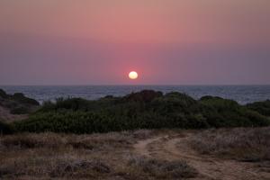 a sunset over the ocean with a dirt road at Romanos Beach Villas in Romanu