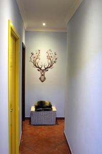 a hallway with a wall with a deer head on it at Hello Terceira in Angra do Heroísmo