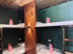 um grupo de beliches em um quarto em The Green House Port Barton em San Vicente