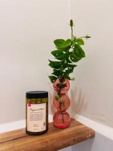 Φωτογραφία από το άλμπουμ του The Green House Port Barton σε San Vicente