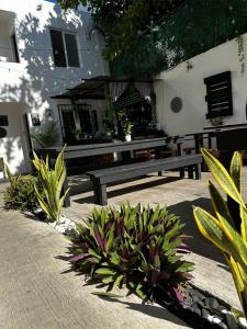 a patio with benches and plants in front of a building at The Hostal Inn in Playa del Carmen