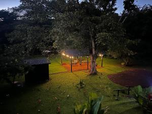 Κήπος έξω από το Ceibo Lodge, great birdwatching