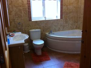 Kylpyhuone majoituspaikassa Merok Lodge