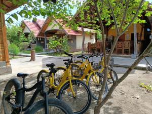 a row of yellow bikes parked next to a tree at MAHADING cottages in Gili Meno