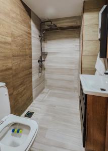 a bathroom with a toilet and a sink at Hypogeon Residence in Bitola