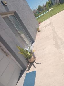 Billede fra billedgalleriet på Casa Tierra de Sueños 3 Roldan i Roldán