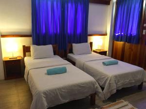 two beds in a hotel room with purple curtains at Pahiluna Guesthouse in Panglao Island