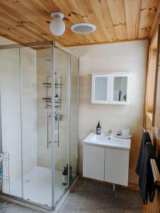 un baño con ducha y lavabo en Little Yellow Cottage Queenstown, en Queenstown