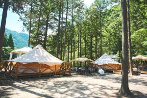 a group of tents in a field with trees at リバーサイドグランピングNuts in Higashiomi