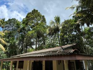 Budova, kde se ubytování v soukromí nachází