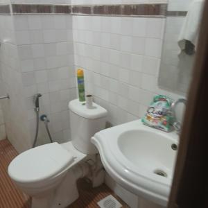 a bathroom with a white toilet and a sink at Mikes apartment in Mombasa